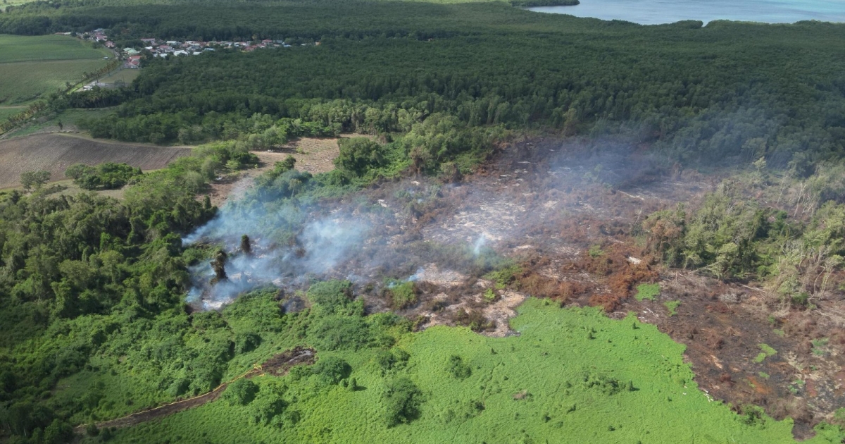     Incendie de Génipa : le feu de 7 hectares est maîtrisé, reprise des secours ce vendredi matin


