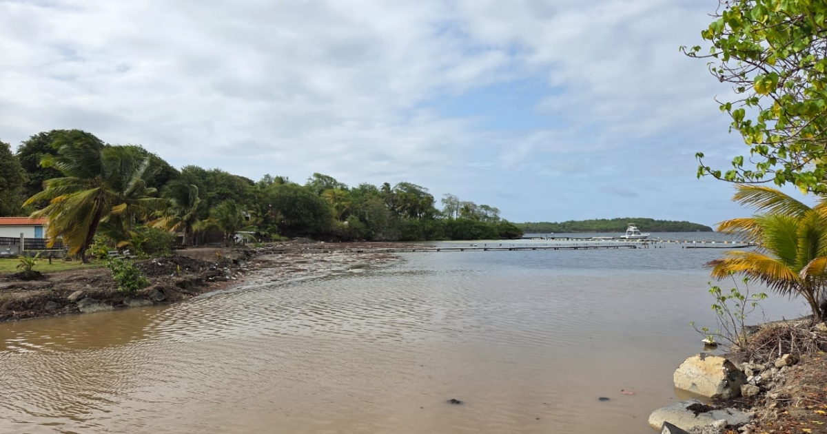     Sargasses, des riverains alertent : « vous êtes en danger, il ne faut pas rester là ! » 

