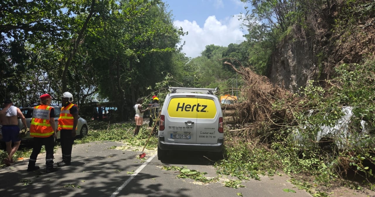     « J’ai vu l’arbre tomber sur ma voiture » : la RN2 coupée à la circulation, entre le Carbet et Saint-Pierre

