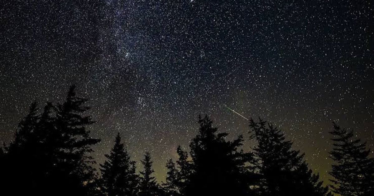     Perséides : une pluie d'étoiles filantes prévue ce mercredi soir

