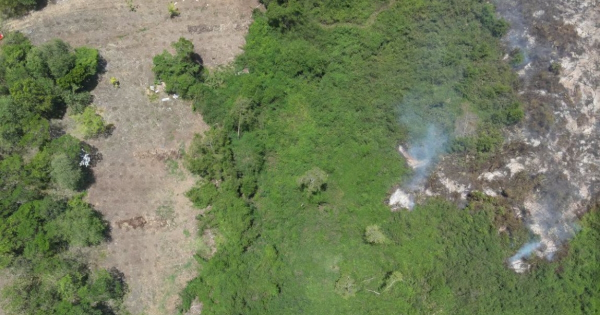    Trois incendies mobilisent les pompiers au Lamentin, au Marin et à Ducos

